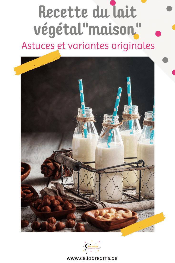 Recette de lait végétal maison (amande et variantes originales)