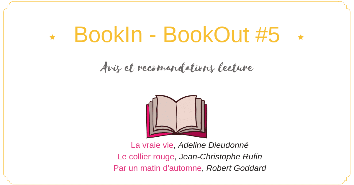 Découvrez dans ce 5e BookIn - BookOut mon avis sur les dernières lectures (La Vraie vie / Le Collier rouge / Par un matin d'automne)