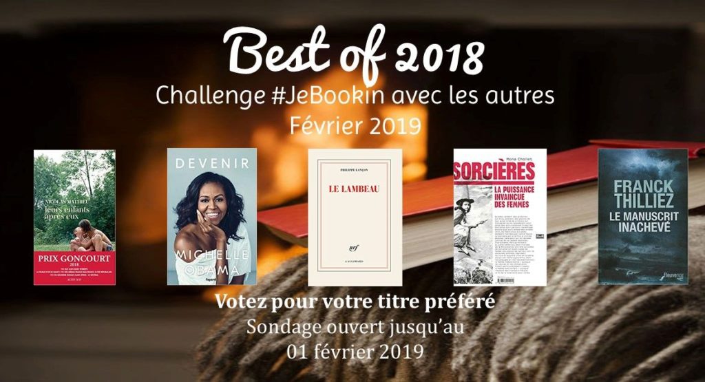 Participez au challenge #JeBookin avec les autres n°11 en votant pour votre titre préféré (clube de lecture belge - février 2019)