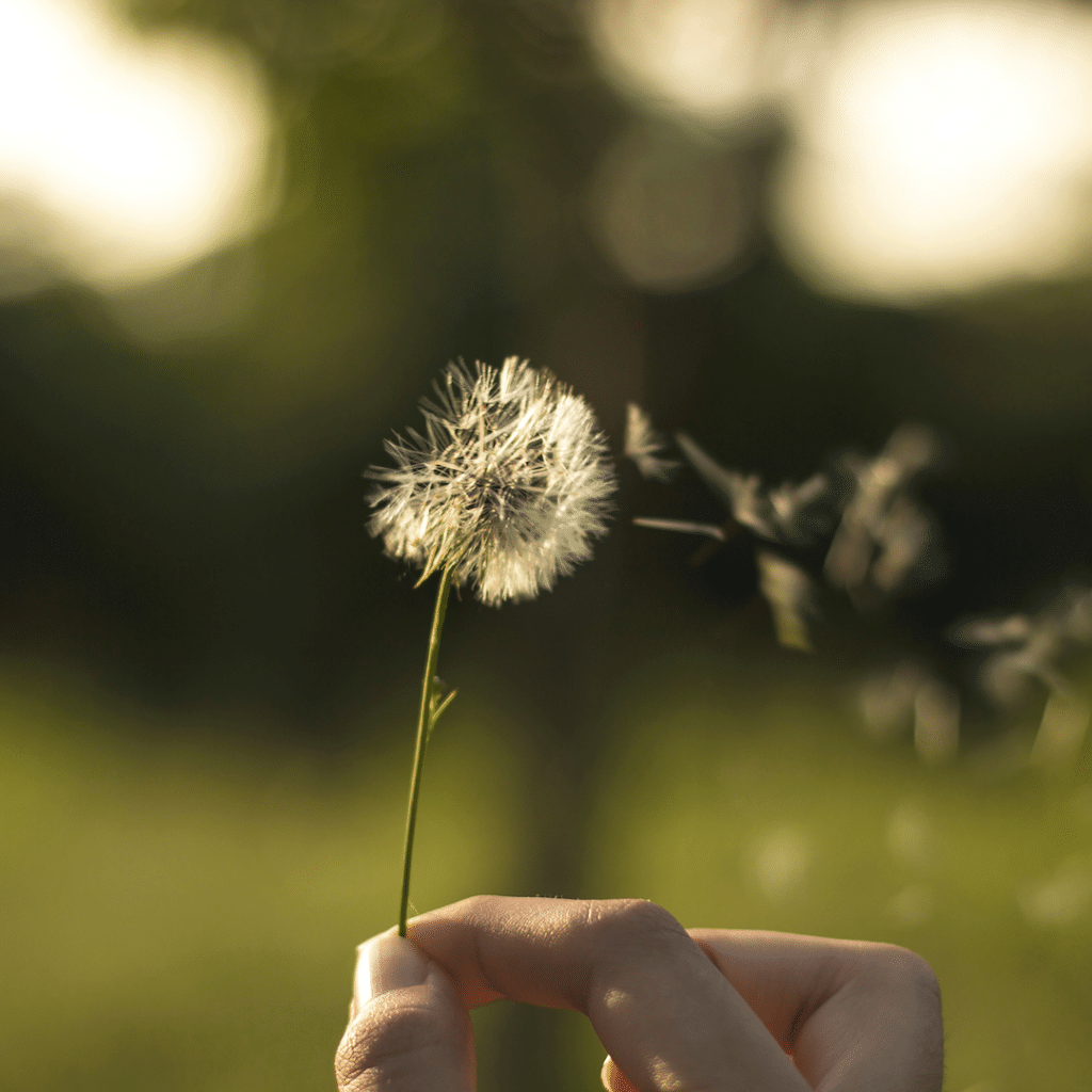 Comment soigner naturellement les allergies liées au pollen?