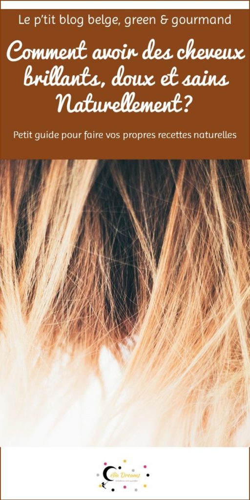 Découvrez des astuces et recettes 100% naturelles pour prendre soin de vos cheveux