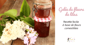 Recette de gelée de fleurs de lilas - une recette à base de fleurs comestibles Gelée de fleurs de lilas: une recette naturelle à base de fleurs comestibles