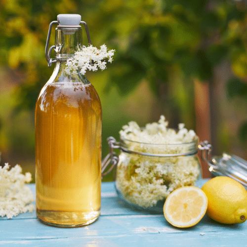 Sirop de fleur de sureau