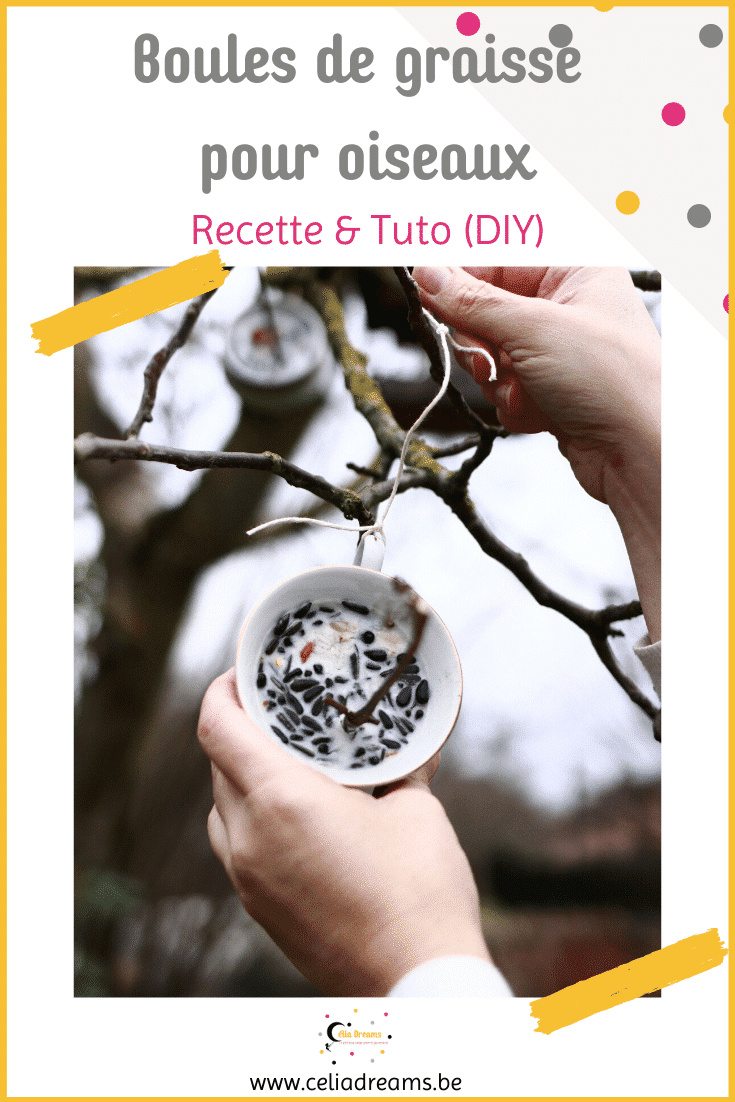 Boules de graisse pour oiseaux (DIY) fabriquer des mangeoires pour — free download