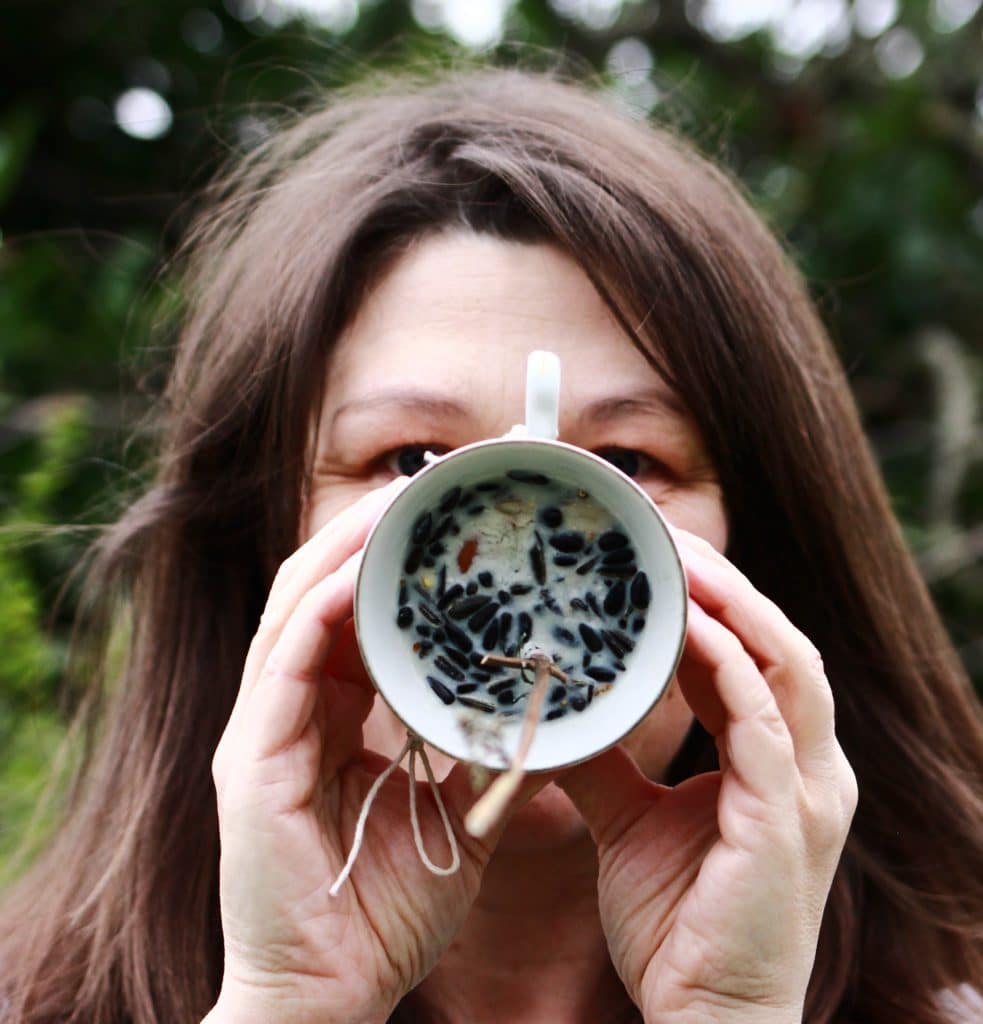 La recette facile des boules de graisse pour nourrir les oiseaux