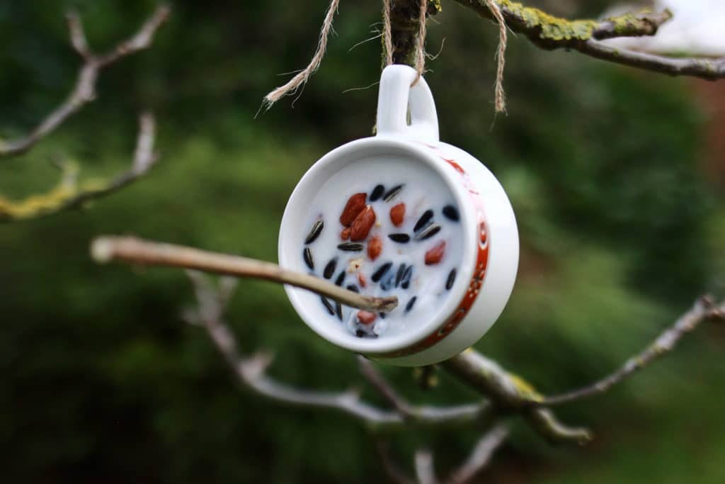 Réaliser des boules de graines et de graisse pour les oiseaux {DIY