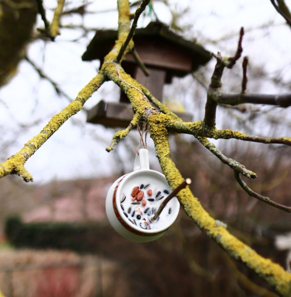 DIY : une boule de graisse maison pour nourrir les oiseaux l'hiver