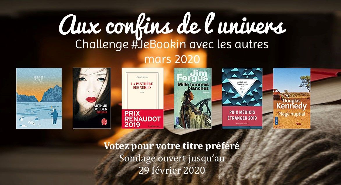 Challenge #JeBookin avec les autres #20 (mars 2020)