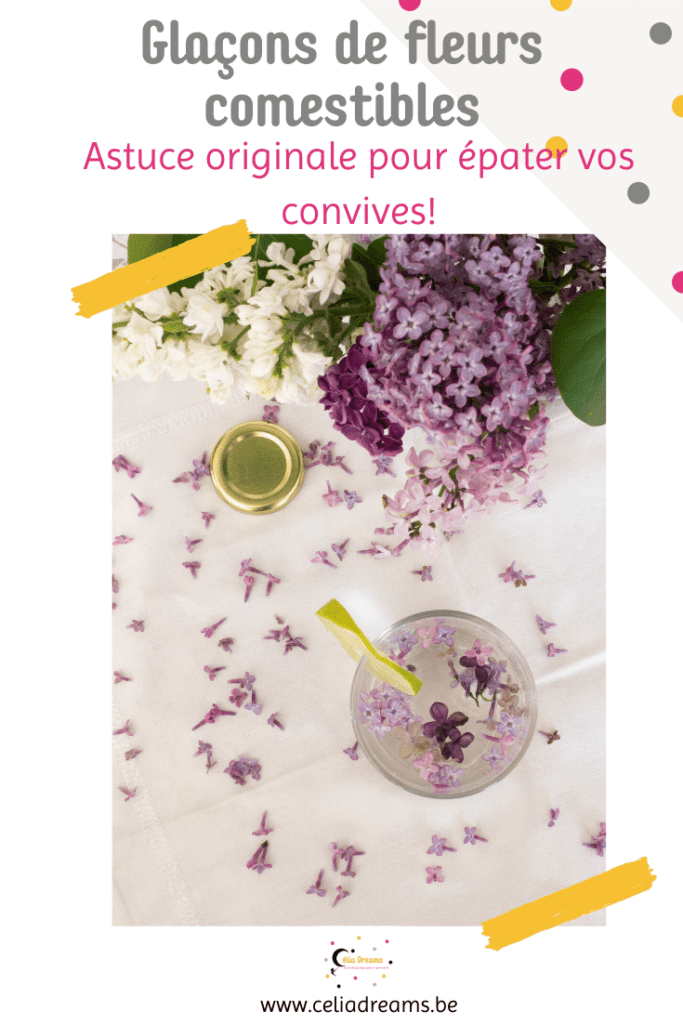 Glaçons de fleurs de lilas: une idée originale pour décorer un cocktail ou une eau aromatisée