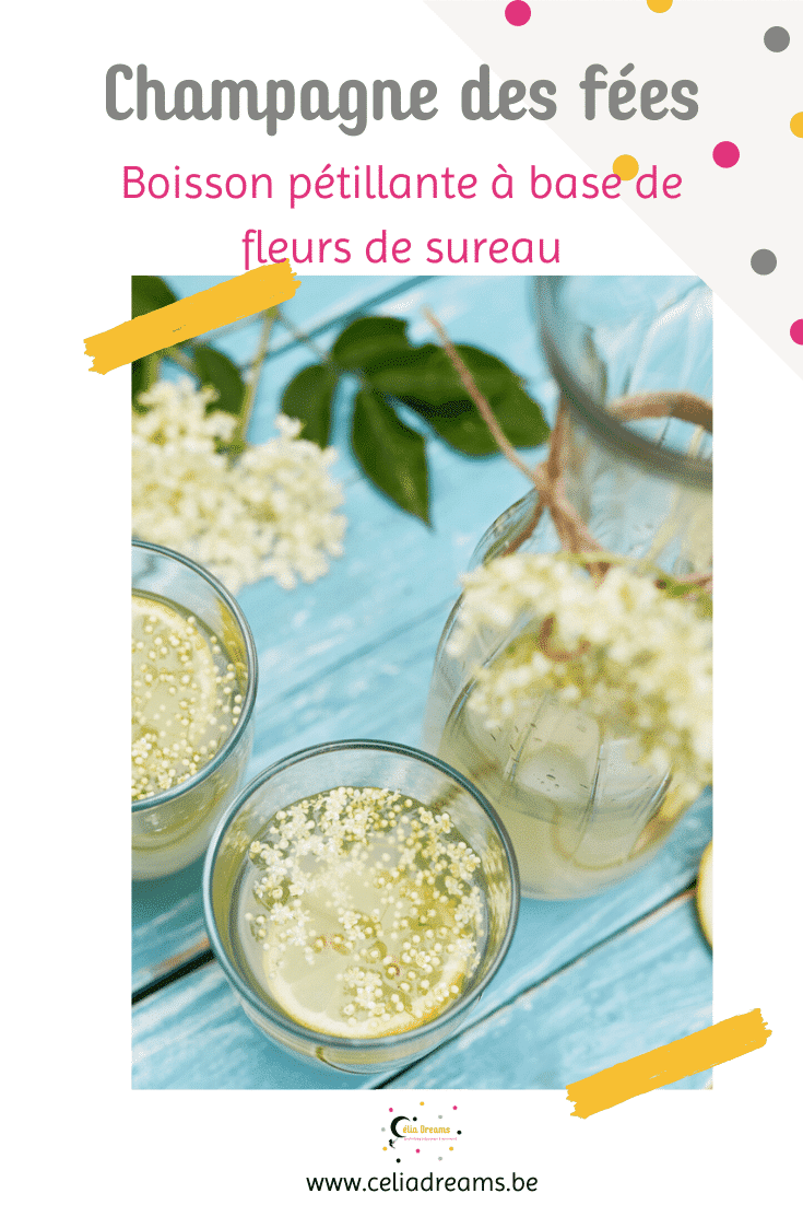 Pétillant de fleurs de sureau: boisson fermentée naturelle