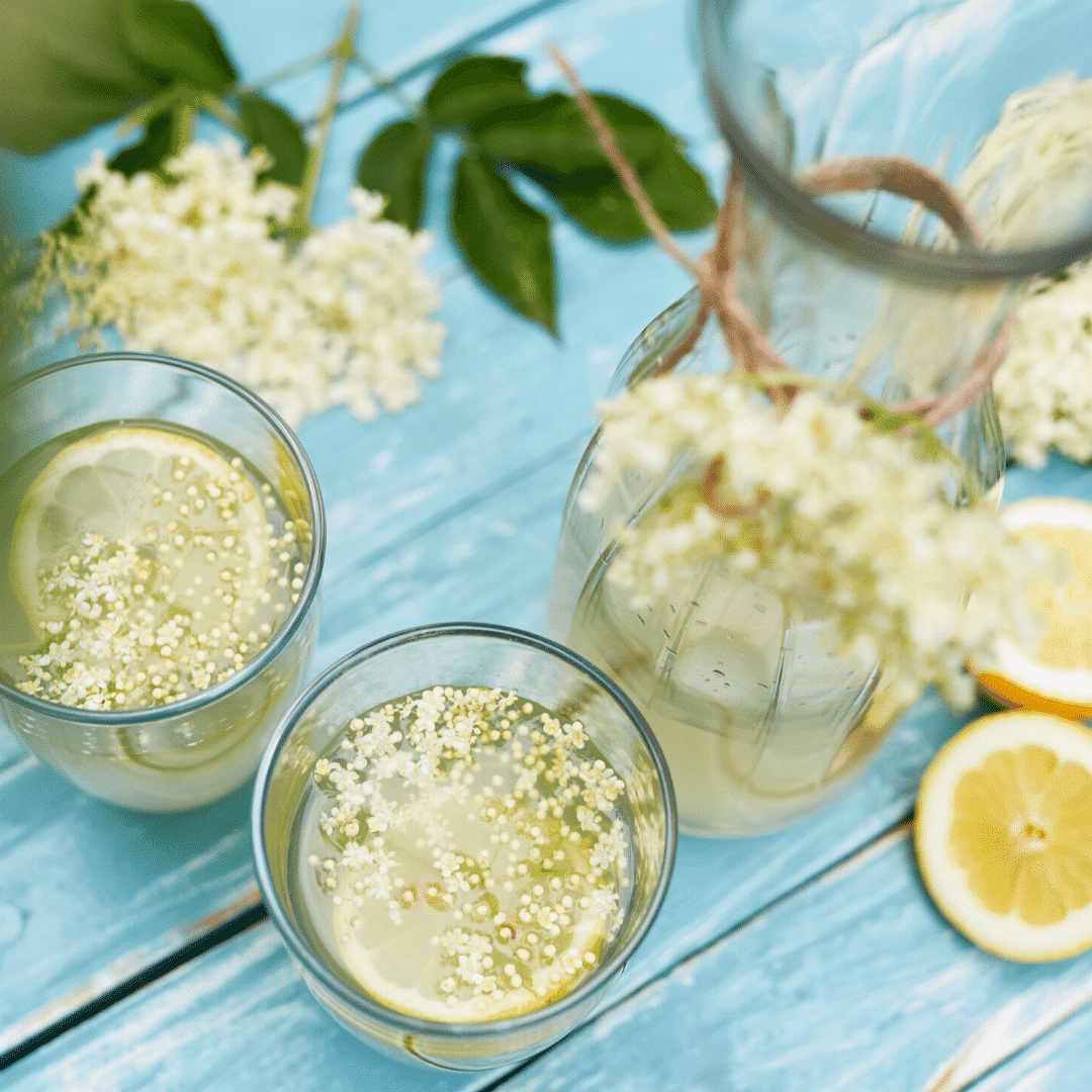 Champagne des fées: boisson naturelle à base de fleurs de sureau noir