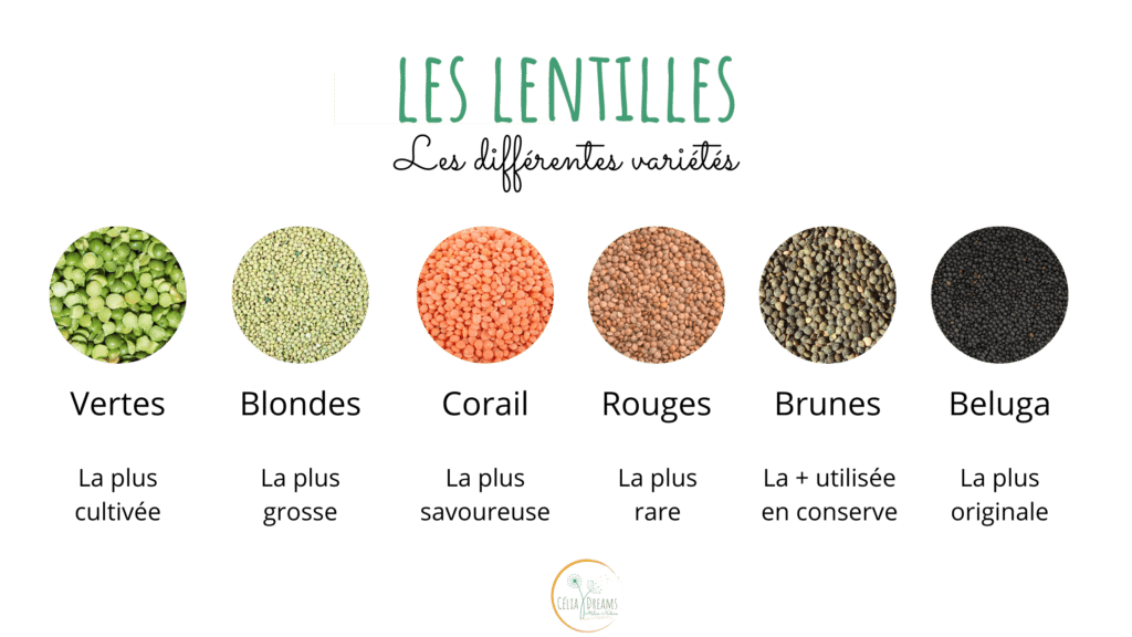 Les différentes variétés de lentilles