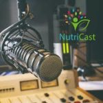 10 podcasts français autour de la santé au naturel et du bien-être