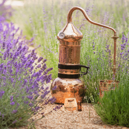 Distillation des hydrolats