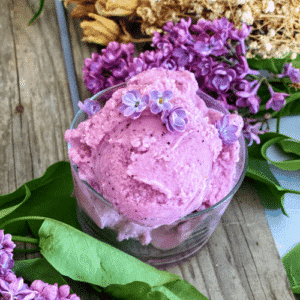 Recette de glace au lilas - sorbet à base de fleurs comestibles