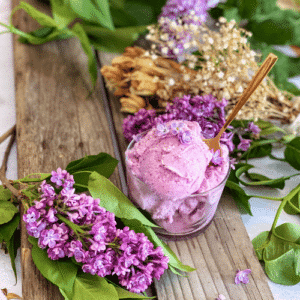 Recette de glace au lilas - sorbet à base de fleurs comestibles