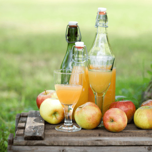 Jus de pommes non filtré 5 litres