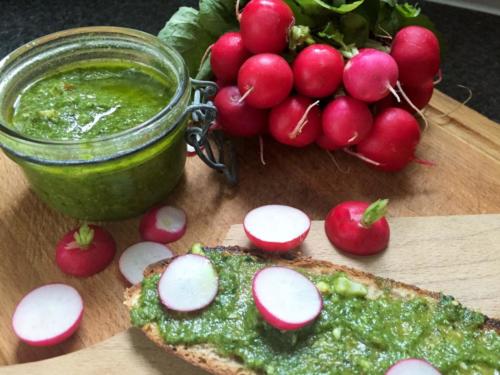 celiadreams-recette-pesto-fanes-radis-facile-rapide